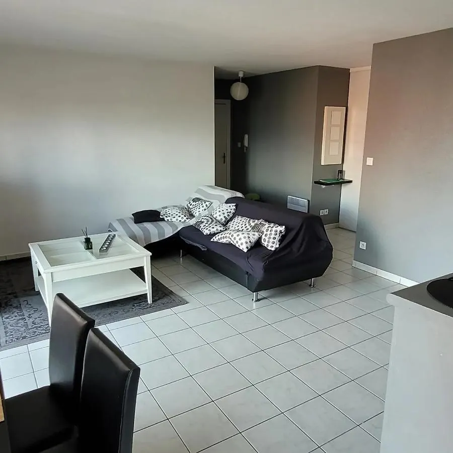 Spacieux Appartement Residence Calme Fonsorbes France