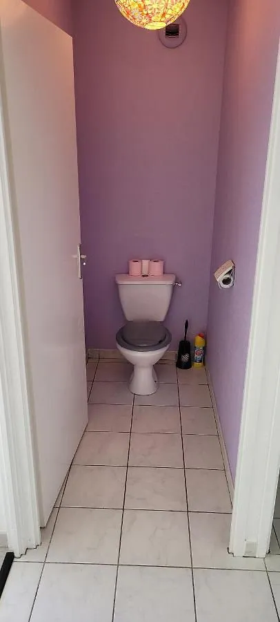 Spacieux Appartement Residence Calme Fonsorbes Apartment